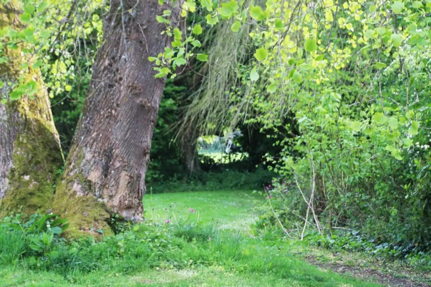 Charmant Cottage 8 Personnes En Normandie Cleuville Esterno foto